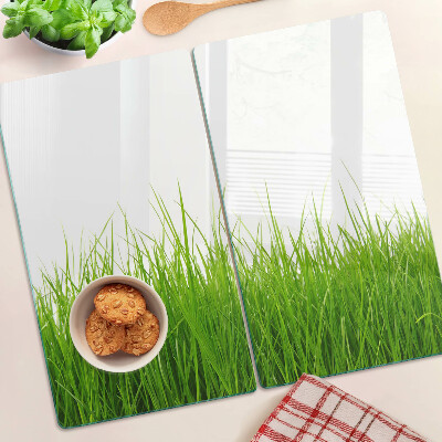 Glass kitchen board Grass in the sun