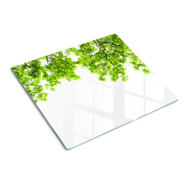 Glass kitchen board Green leaves against the sky