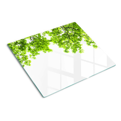 Glass kitchen board Green leaves against the sky