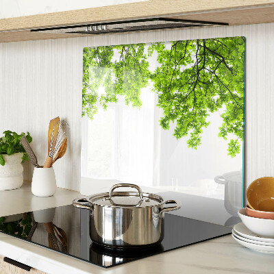 Glass kitchen board Green leaves against the sky