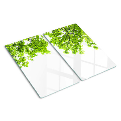 Glass kitchen board Green leaves against the sky