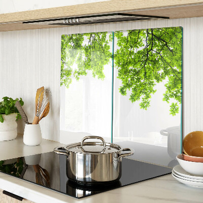 Glass kitchen board Green leaves against the sky