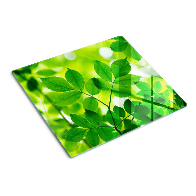 Glass chopping board Leaves on a green background