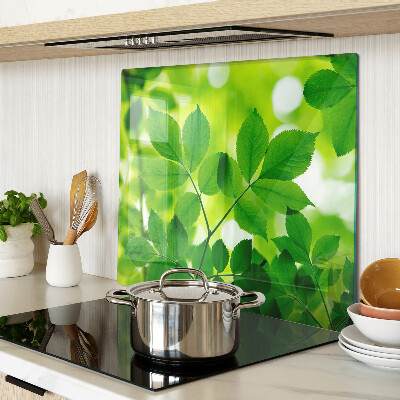 Glass chopping board Leaves on a green background