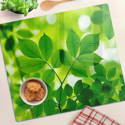 Glass chopping board Leaves on a green background