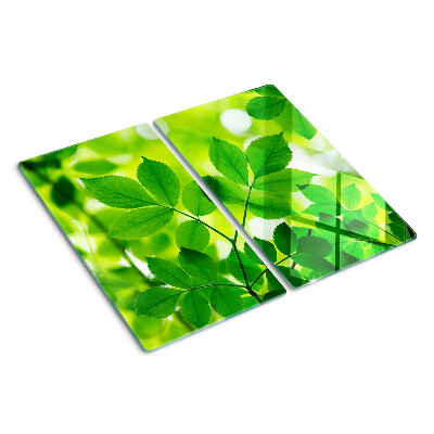 Glass chopping board Leaves on a green background