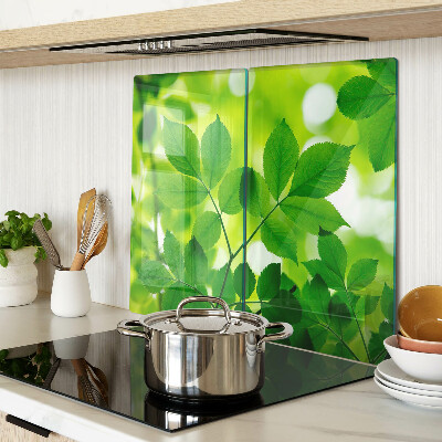 Glass chopping board Leaves on a green background