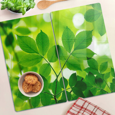 Glass chopping board Leaves on a green background