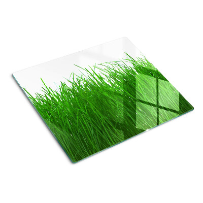 Glass chopping board Grass in the sun