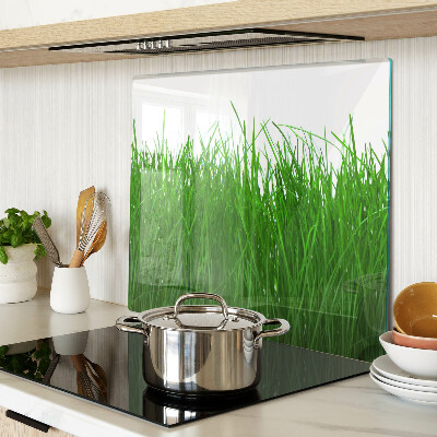 Glass chopping board Grass in the sun