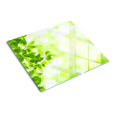 Glass chopping board Green leaves in the light