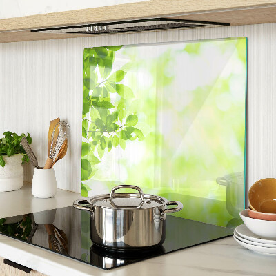 Glass chopping board Green leaves in the light