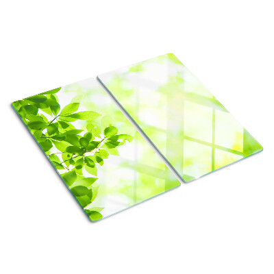 Glass chopping board Green leaves in the light