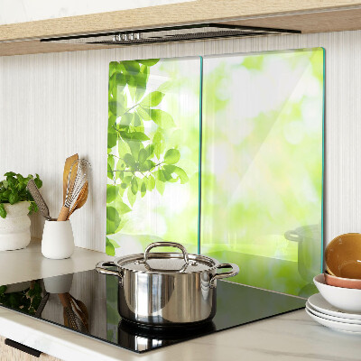 Glass chopping board Green leaves in the light