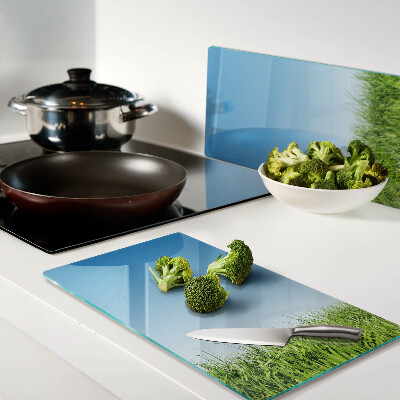 Glass kitchen board Green meadow under blue sky