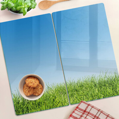 Glass kitchen board Green meadow under blue sky