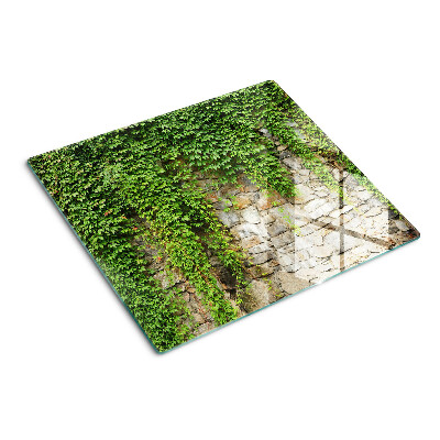 Glass kitchen board Green wall with moss
