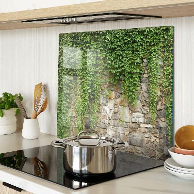 Glass kitchen board Green wall with moss