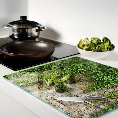 Glass kitchen board Green wall with moss