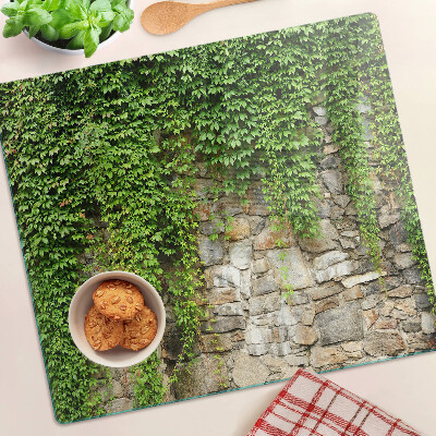 Glass kitchen board Green wall with moss