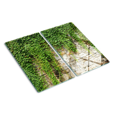 Glass kitchen board Green wall with moss