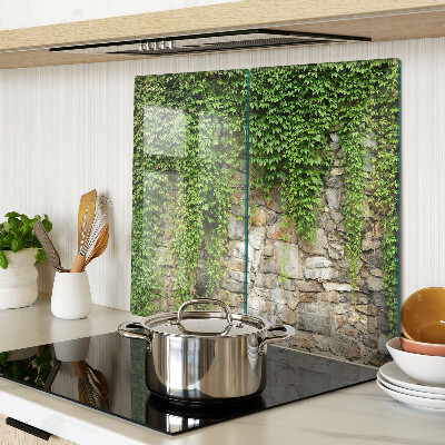 Glass kitchen board Green wall with moss