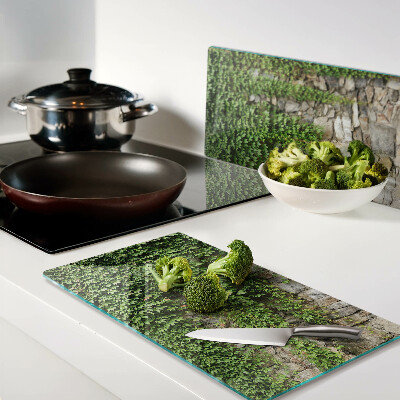 Glass kitchen board Green wall with moss