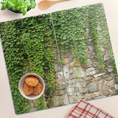 Glass kitchen board Green wall with moss