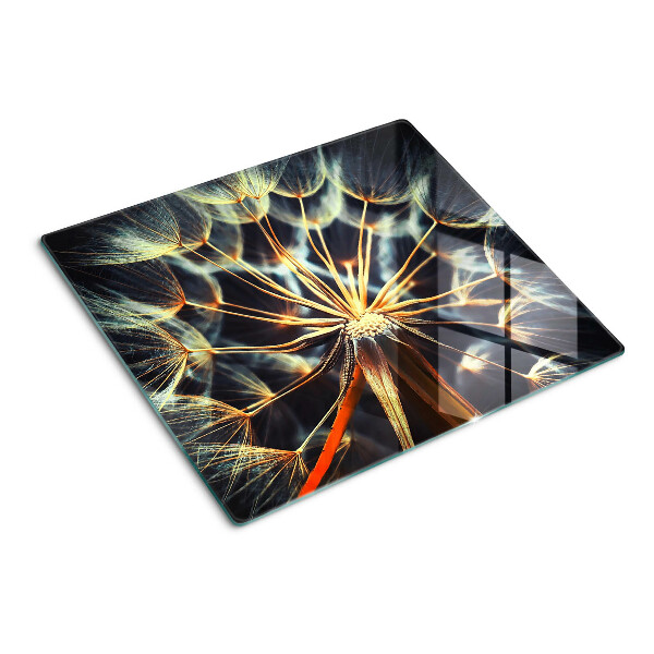 Glass chopping board Dandelions in macro photography