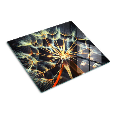Glass chopping board Dandelions in macro photography