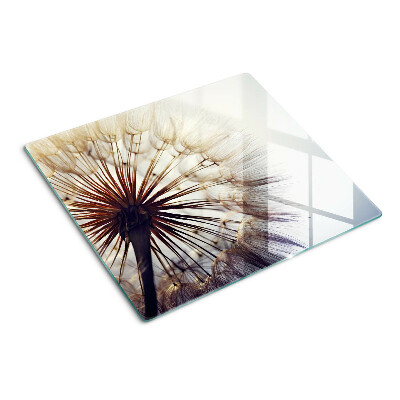 Glass kitchen board Dandelions in the light