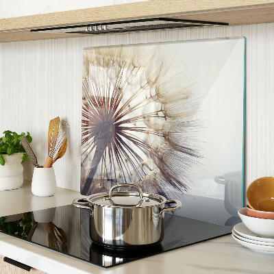 Glass kitchen board Dandelions in the light