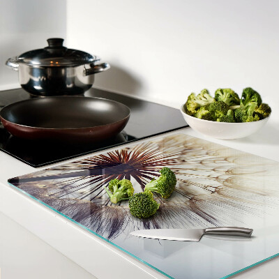 Glass kitchen board Dandelions in the light