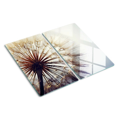 Glass kitchen board Dandelions in the light