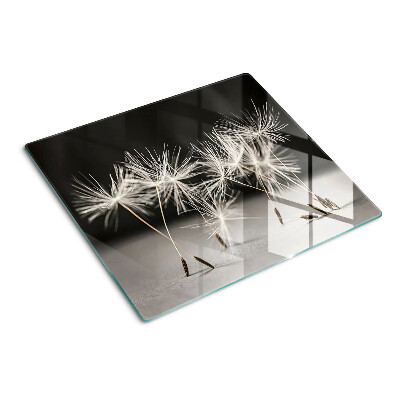 Glass kitchen board Fluffy dandelions on a monochromatic background