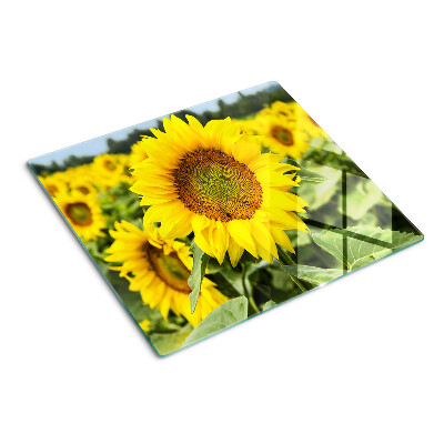 Glass chopping board Sunflowers against a green background