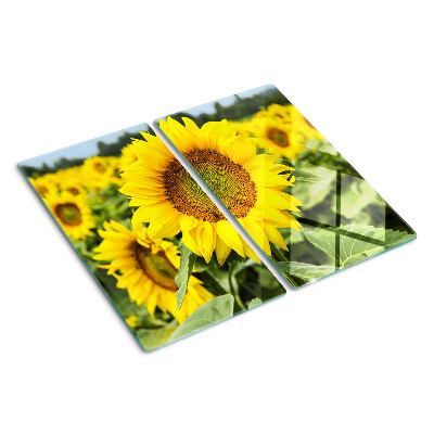 Glass chopping board Sunflowers against a green background