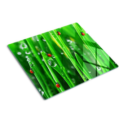 Glass kitchen board Water drops on grass with ladybugs