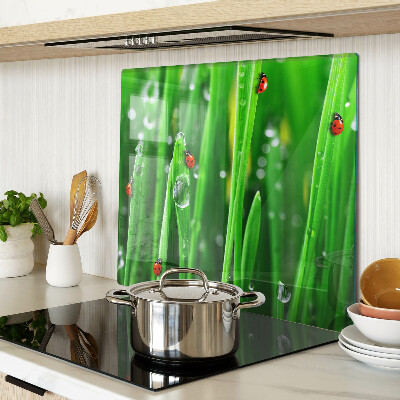 Glass kitchen board Water drops on grass with ladybugs