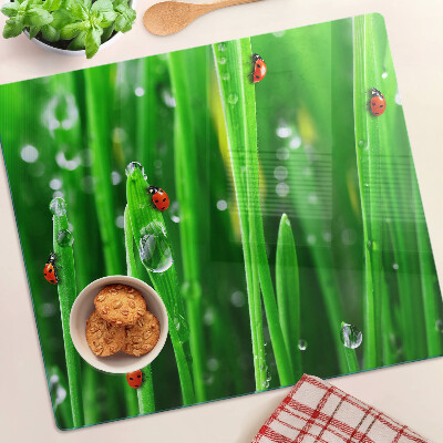 Glass kitchen board Water drops on grass with ladybugs