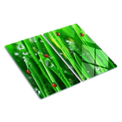 Glass kitchen board Water drops on grass with ladybugs