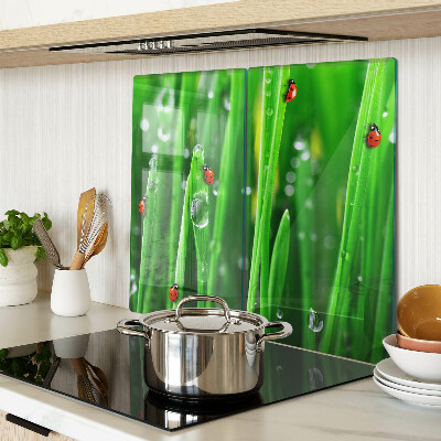 Glass kitchen board Water drops on grass with ladybugs