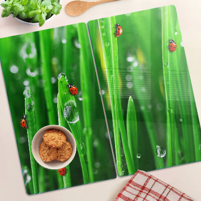 Glass kitchen board Water drops on grass with ladybugs