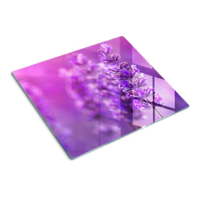 Glass kitchen board Lavender flowers on a purple background
