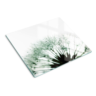 Glass kitchen board Dandelions with water drops