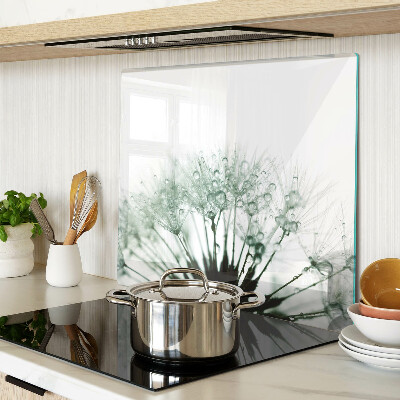Glass kitchen board Dandelions with water drops