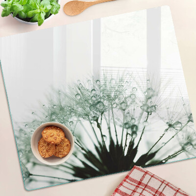 Glass kitchen board Dandelions with water drops