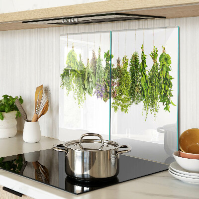 Glass kitchen board Herbs hanging on a string