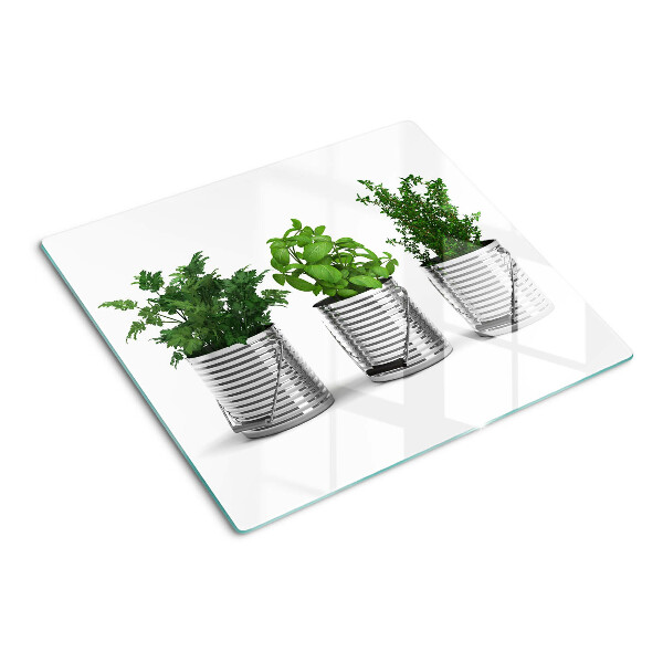 Glass kitchen board Plants in metal pots