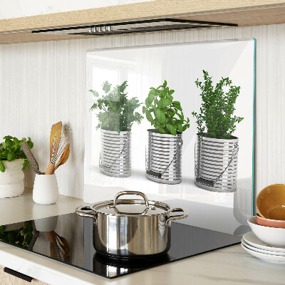 Glass kitchen board Plants in metal pots